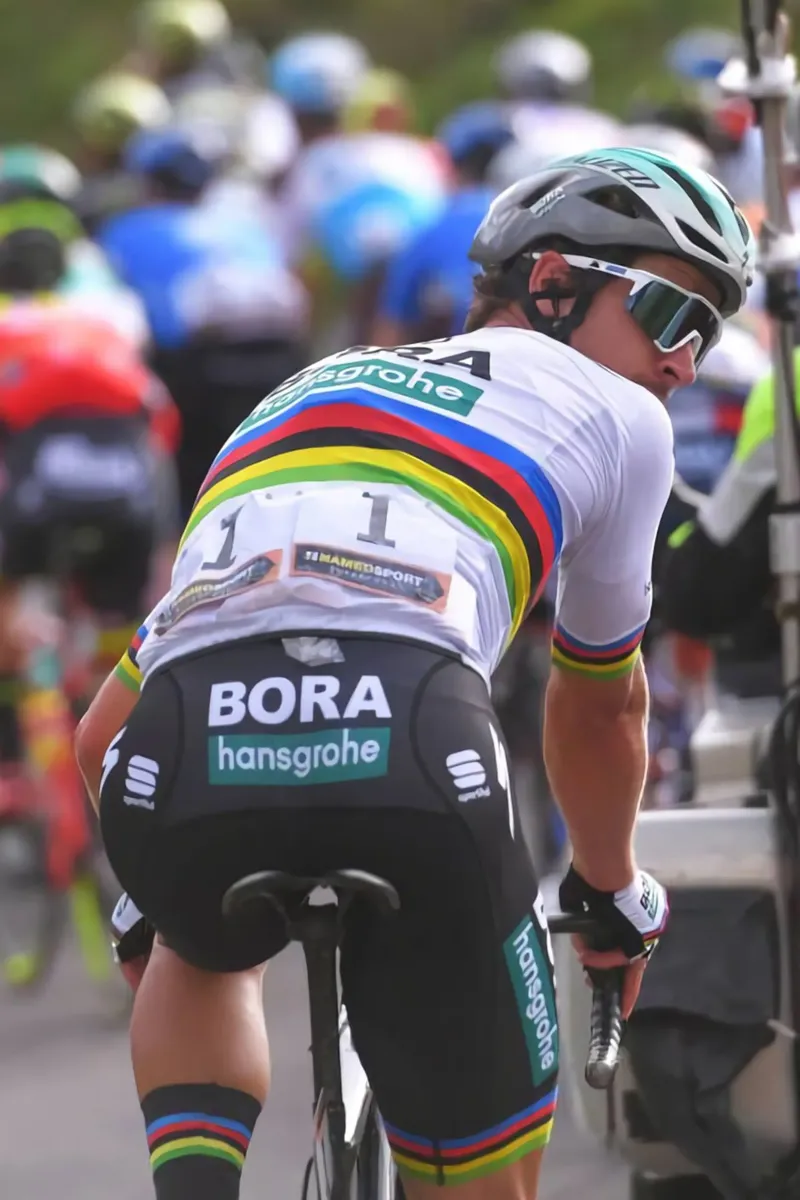 peter sagan con il kit della squadra bora-hansgrohe poster con telaio in legno da addelia shope