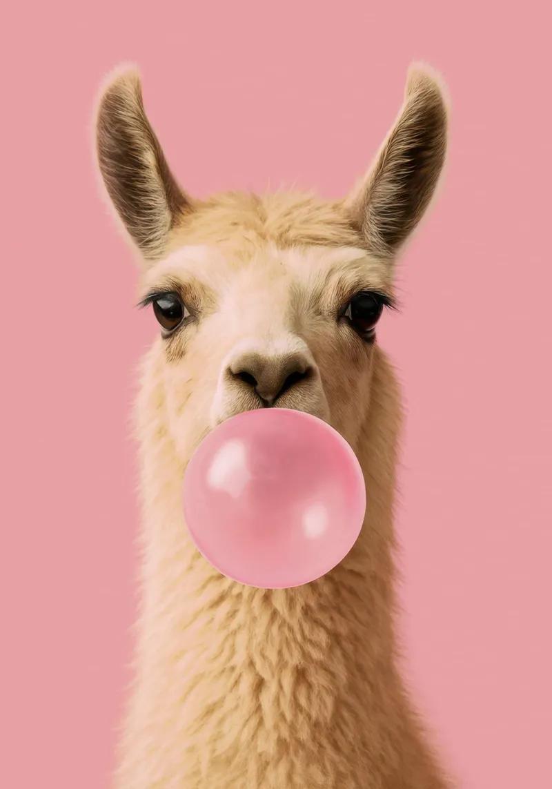 Llama Blowing Bubblegum poster da Attaboy Dsgn