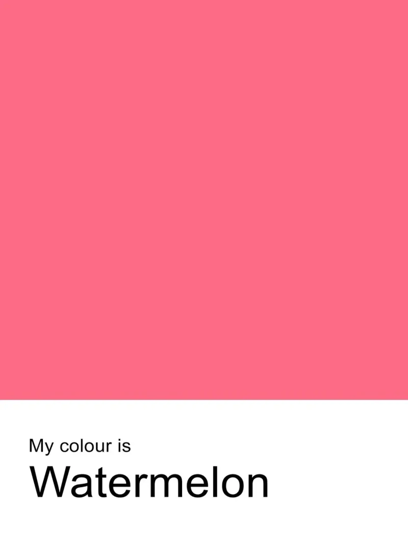 My Colour is Watermelon – Minimalist Typography Print canvas with Floater frame by JaySan Studio