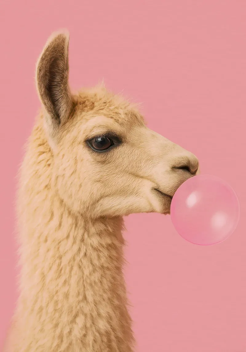Llama Blowing Bubblegum poster con telaio in legno da Attaboy Dsgn