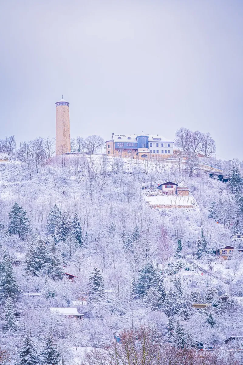La torre della volpe in inverno pellicola backlit da Marcus Beckert | Fotografie