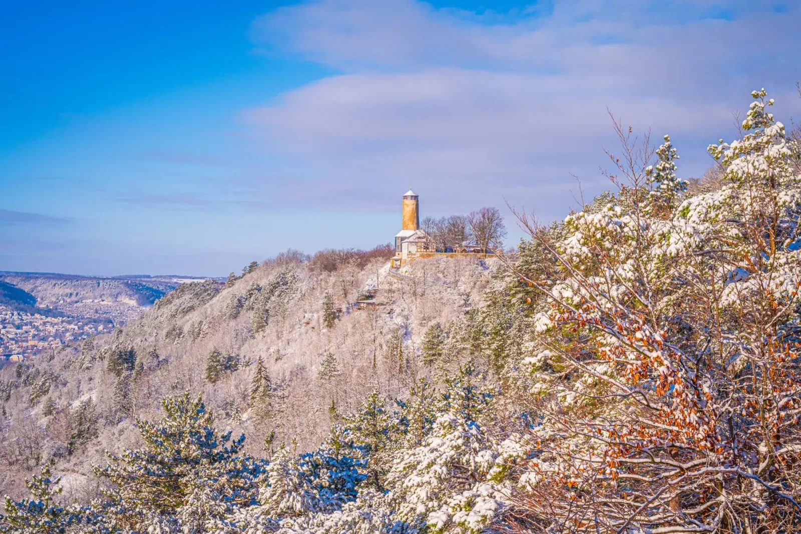 La torre della volpe in inverno pellicola backlit da Marcus Beckert | Fotografie