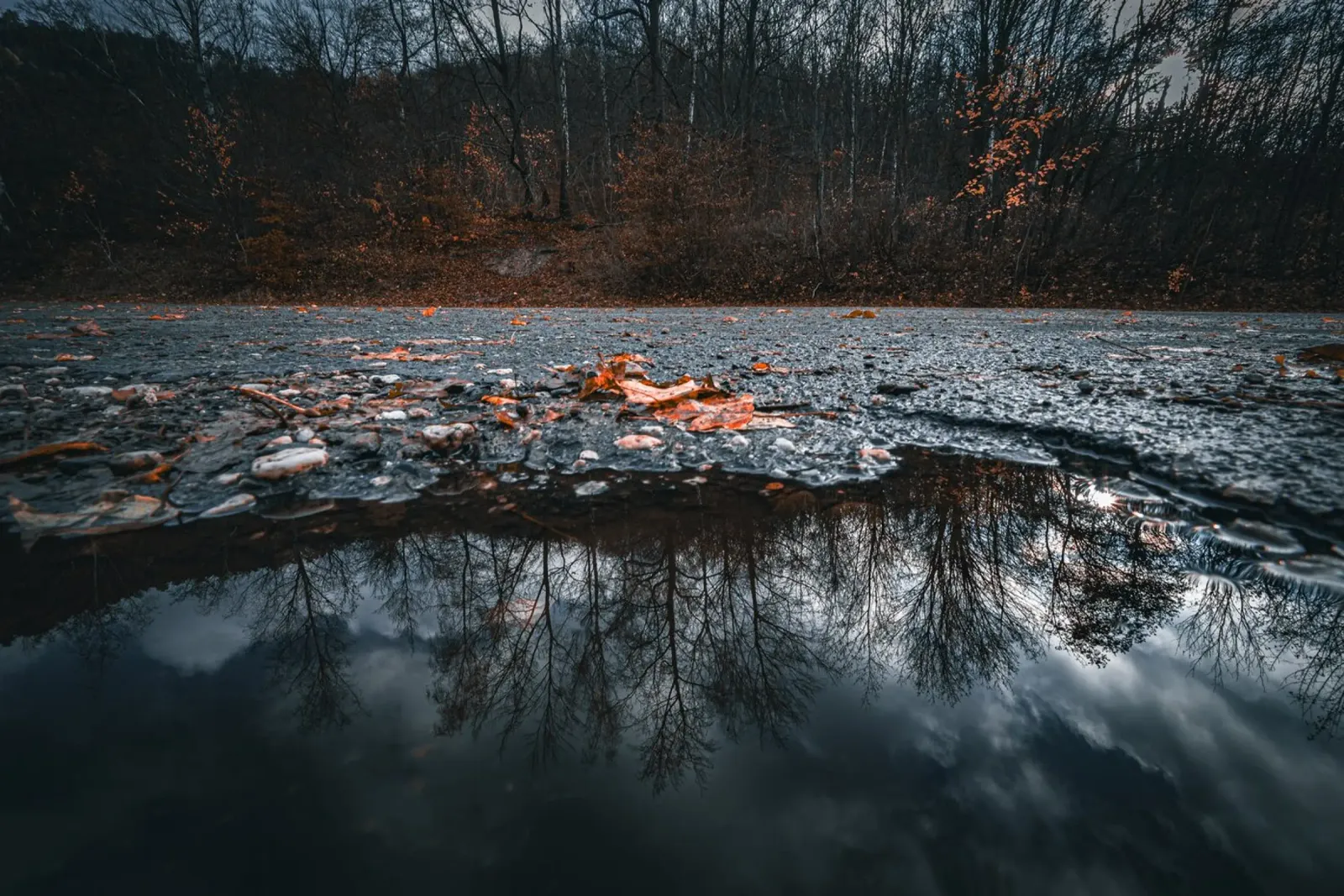 Riflesso nell'acqua pellicola backlit da Marcus Beckert | Fotografie