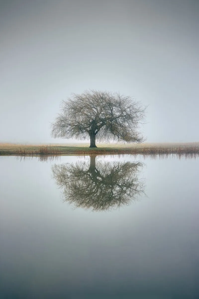 refect the lake poster con telaio in alluminio da pastel color shape