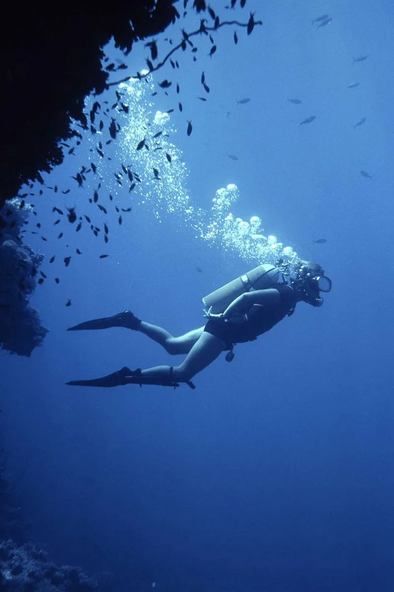 Scuba diver poster con telaio in plastica da Brant Varner