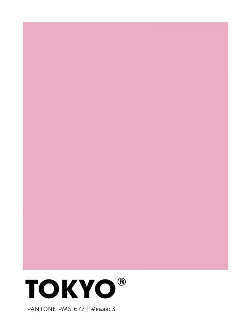 Tokio canvas met Baklijst van Sabine Klein
