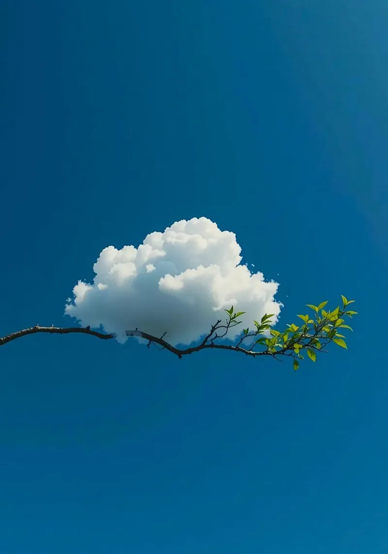 cloud land on tree tela con Cornice a cassetta da lifeline