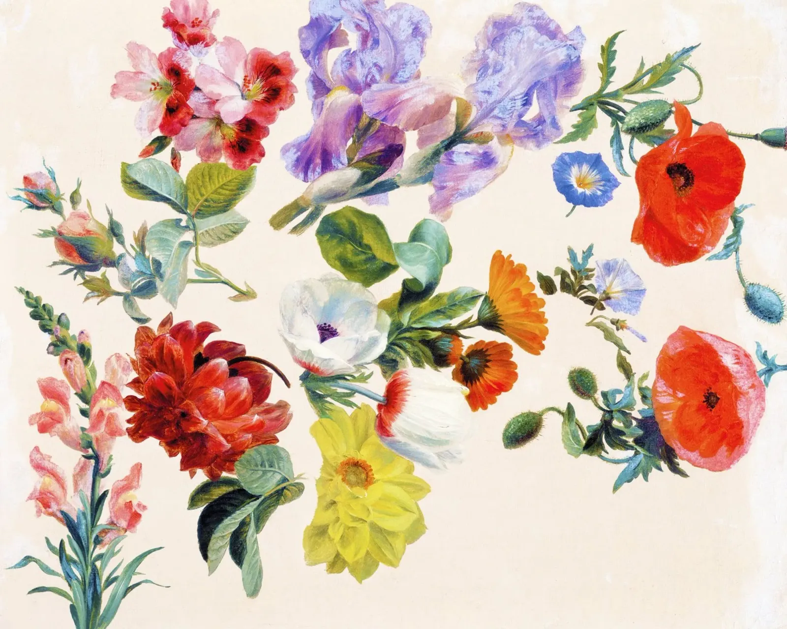 Studi di fiori estivi (1848 circa) - Jacques-Laurent Agass poster con telaio in legno da Venus Art