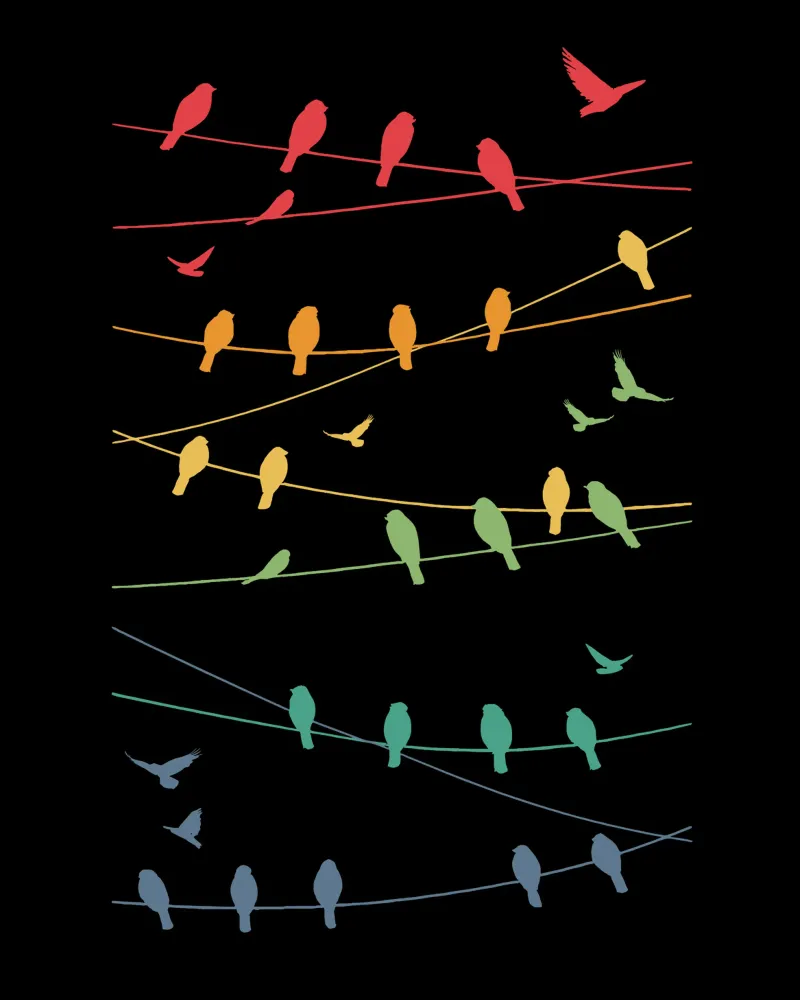 Linee di uccelli Minimalista - Retrò poster con telaio in plastica da LM2KONE