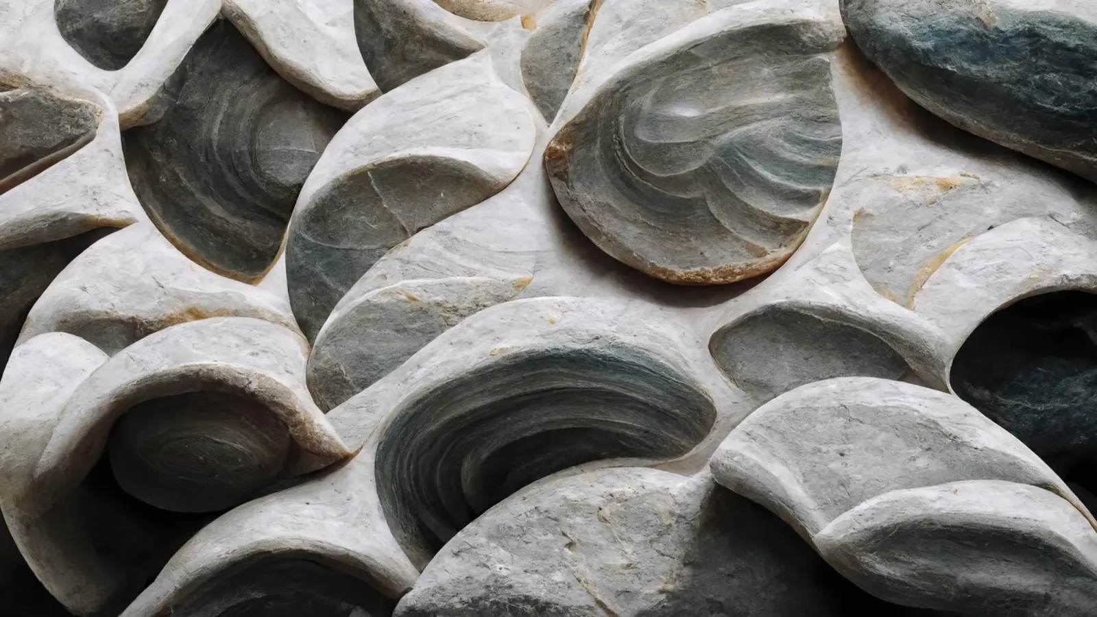 Sea Shells Detail No 5 pellicola backlit da treechild