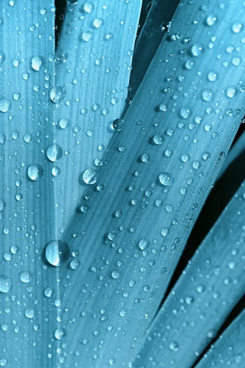 Gocce d'acqua poster da Atteloi