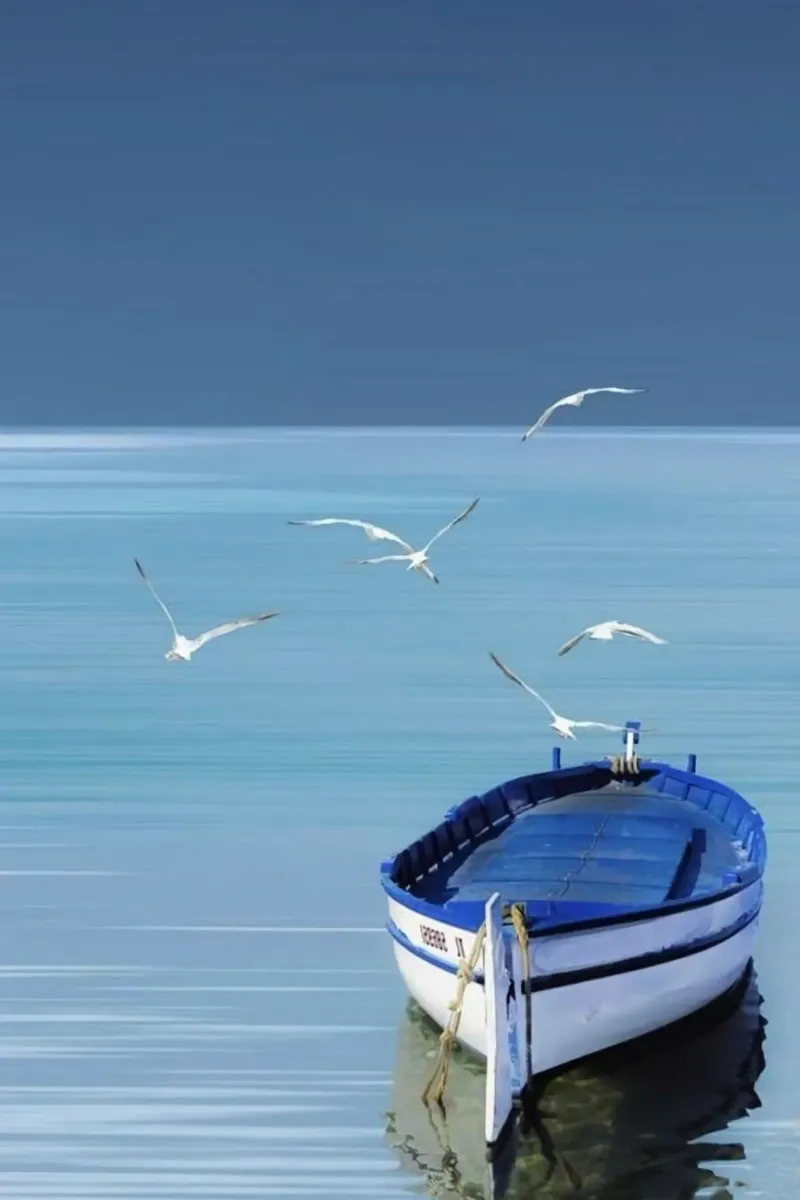 the boat with bird poster con telaio in plastica da melts