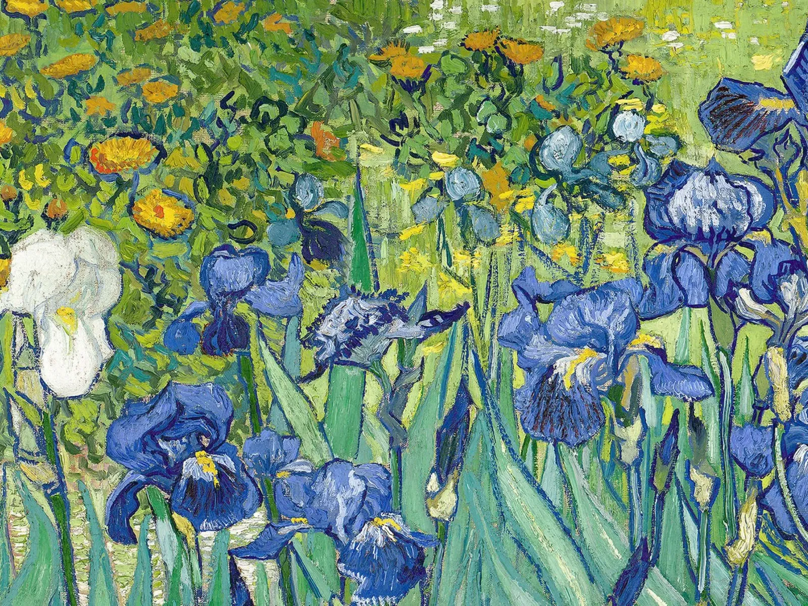 Iris ll poster con telaio in plastica da Christopher Soto