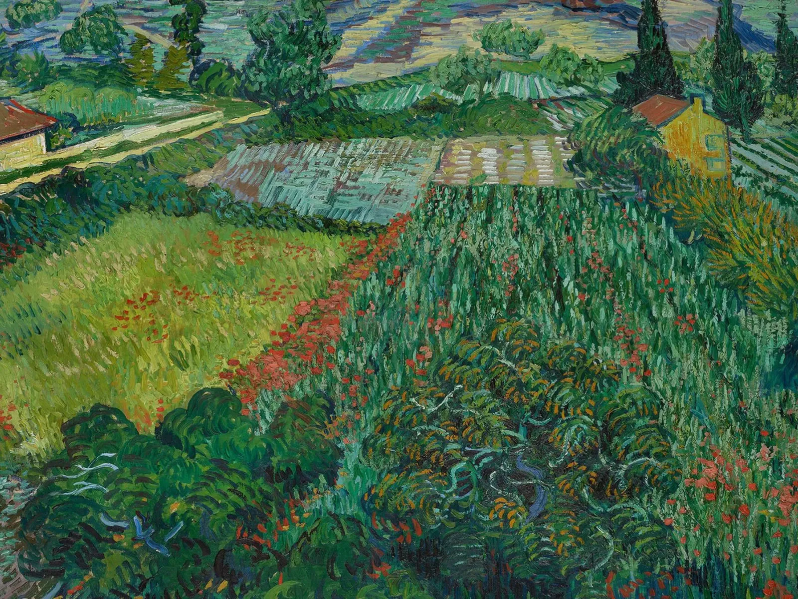 Campo di papaveri, 1889 poster con telaio in legno da Christopher Soto