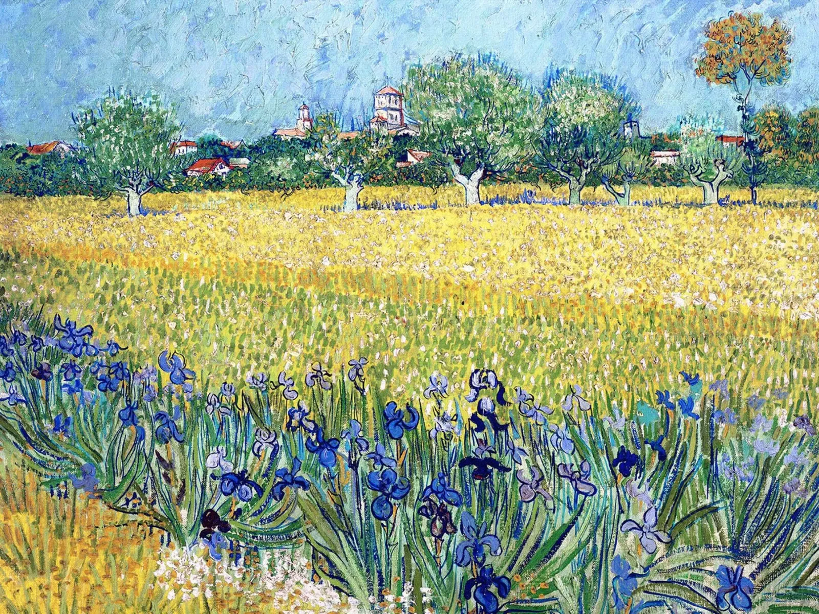 Veduta di Arles con iris in primo piano poster con telaio in plastica da Christopher Soto