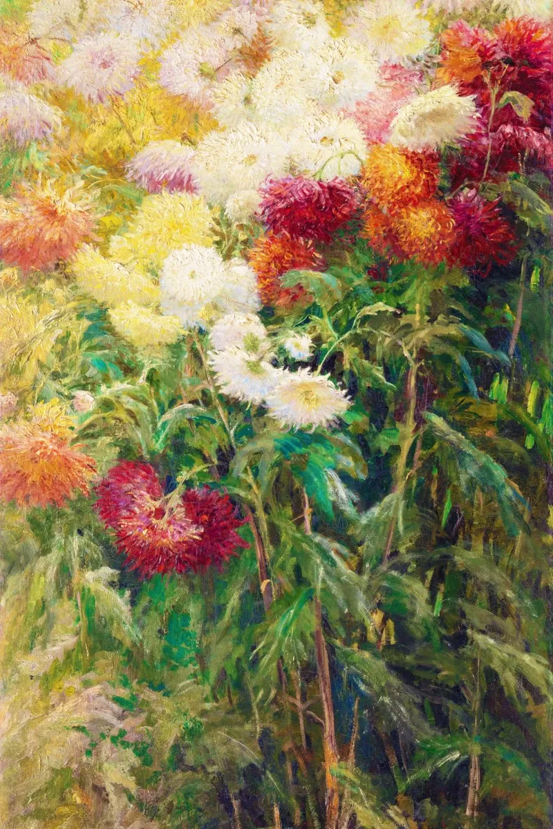 Crisantemi in giardino di Gustave Caillebotte poster con telaio in legno da Venus Art