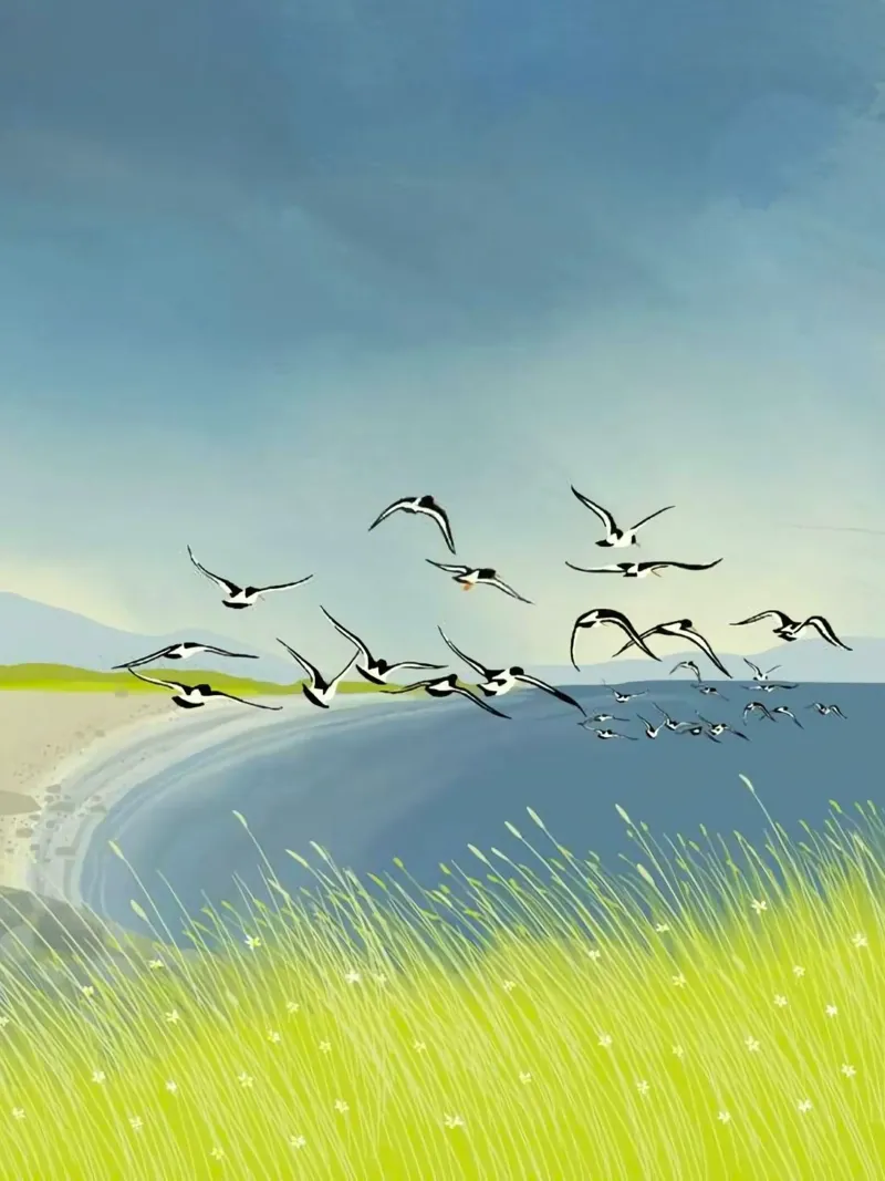 birds flying sky poster con telaio in legno da mip of map