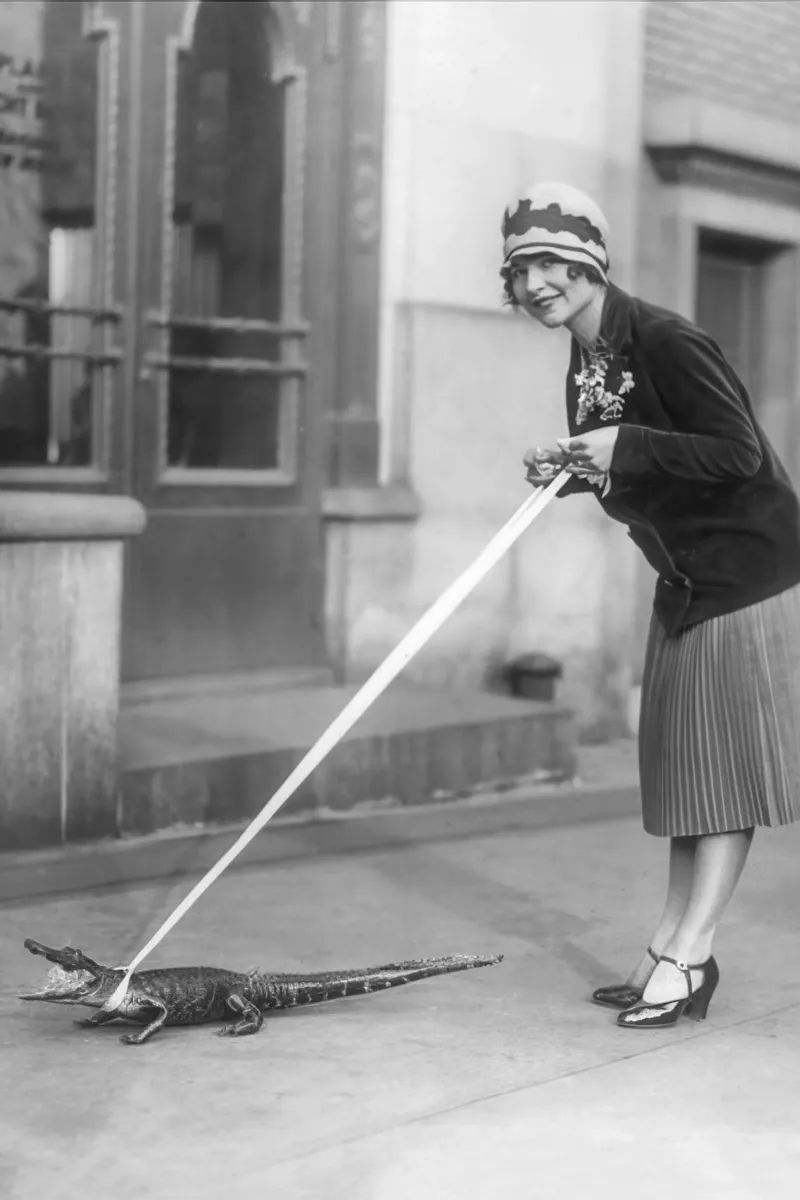 Flapper en baby alligator, zwart-wit oude foto canvas met Baklijst van Vibrant Vintage Prints