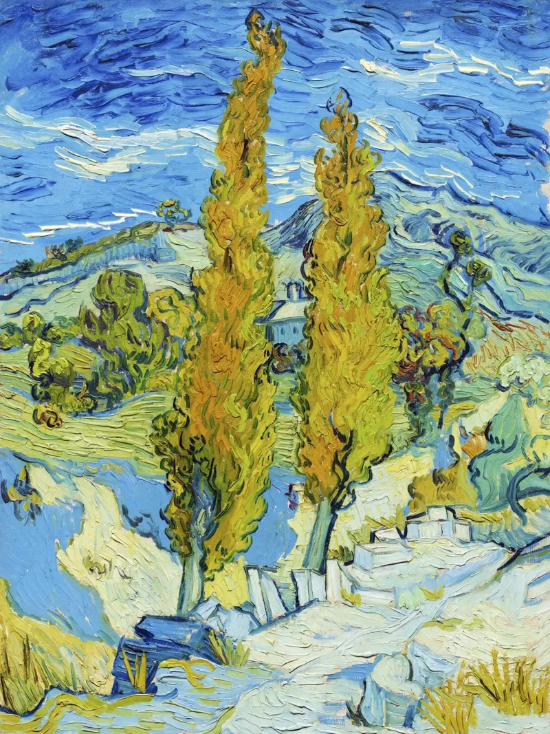 I pioppi di Saint-Rémy di Vincent van Gogh (1889) poster con telaio in legno da Venus Art