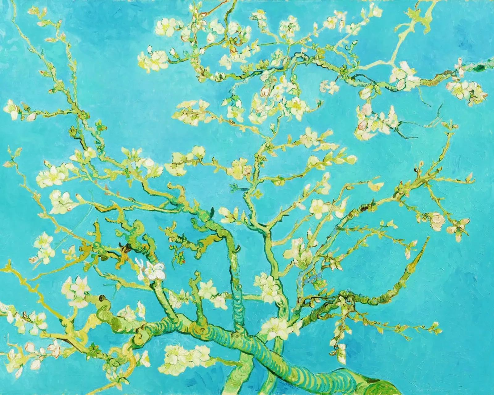 Il mandorlo in fiore di Vincent van Gogh (1890) poster con telaio in plastica da Venus Art