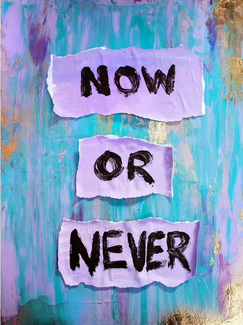 Now or never alu dibond de Hirschbild