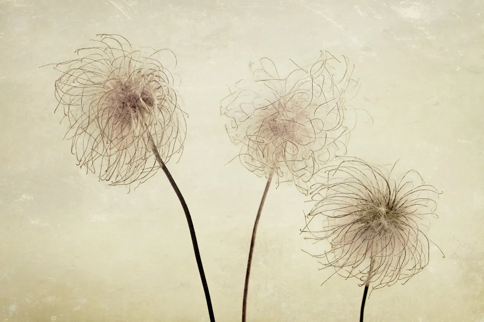 three carta hahnemühle da Visuelle Poesie am Wegesrand