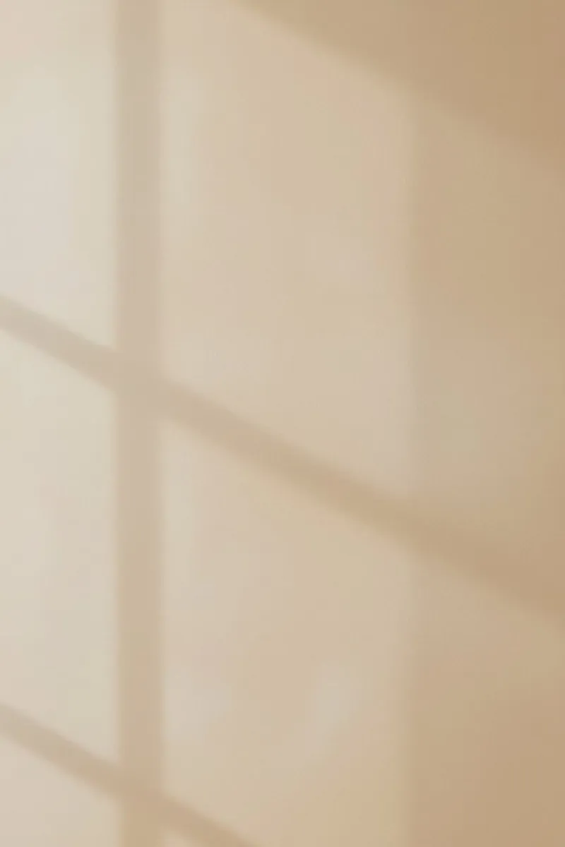 Window Pane Shadow on Tan Wall canvas with Floater frame by DesignDoodle
