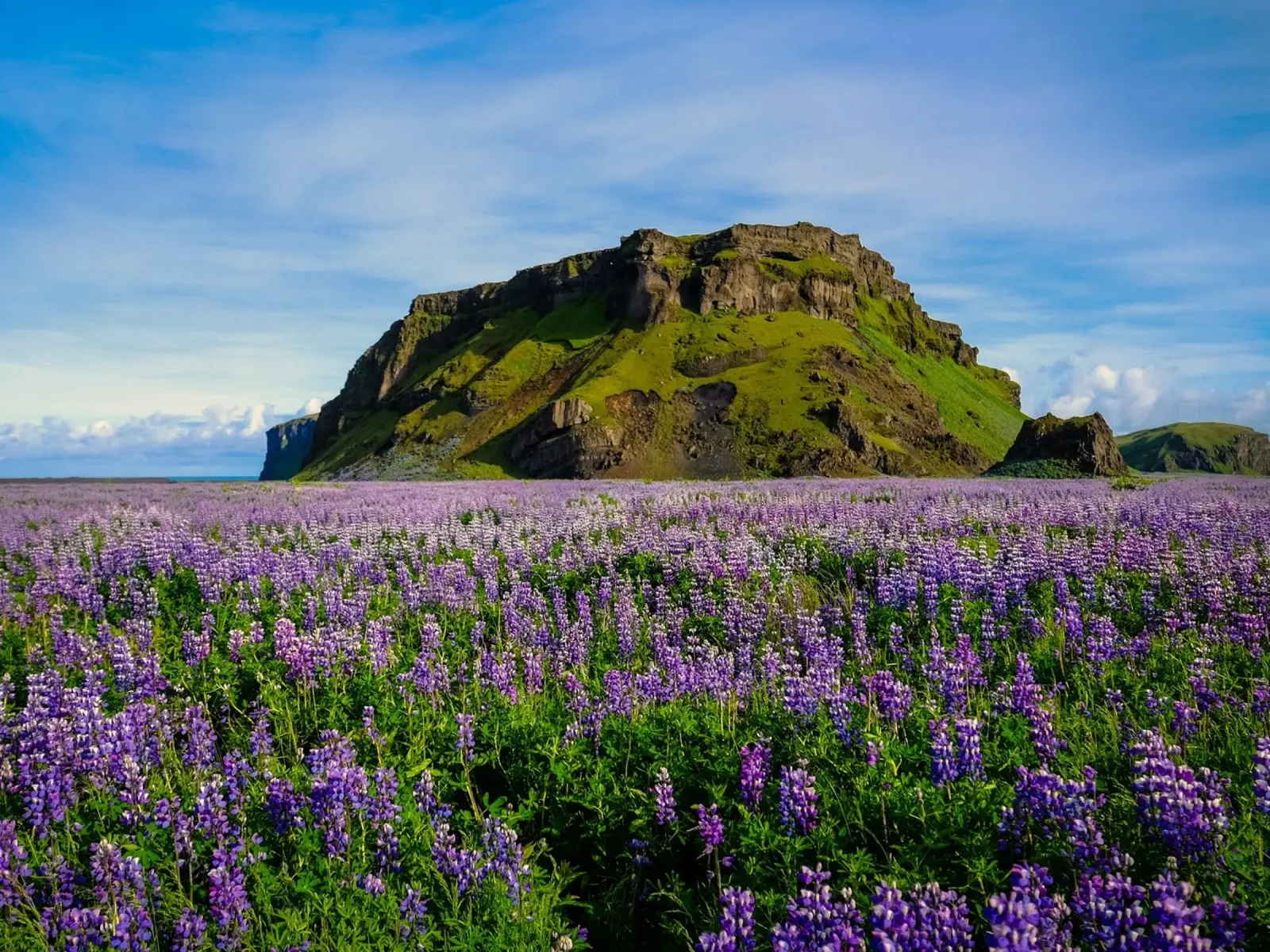 blossom and mountain poster con telaio in alluminio da carsa
