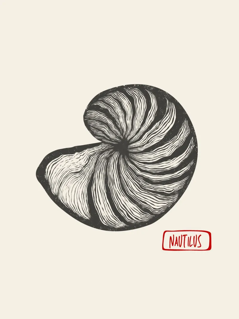 Nautilus poster con telaio in plastica da Indigo Rain