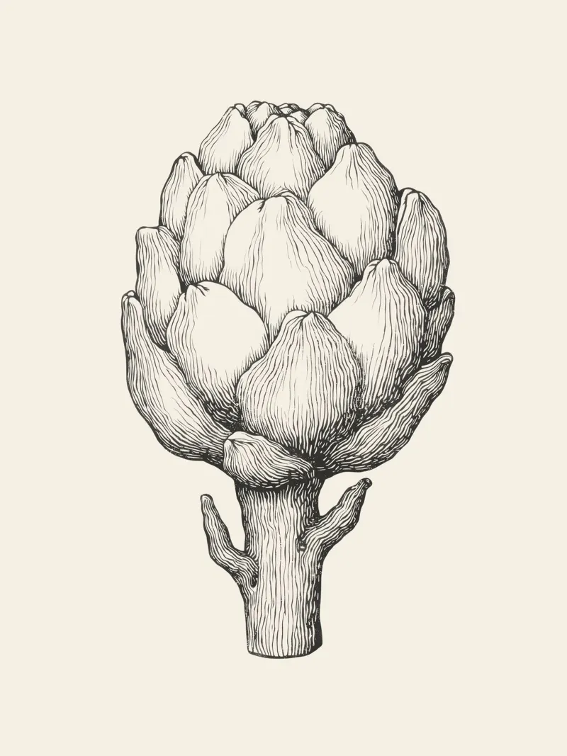 Artichoke 2 poster con telaio in legno da Indigo Rain