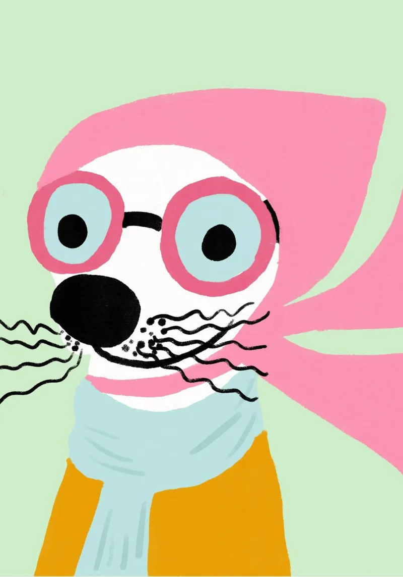 Sigillo hipster, arte animale eccentrica, sciarpa rosa poster da vintagepod