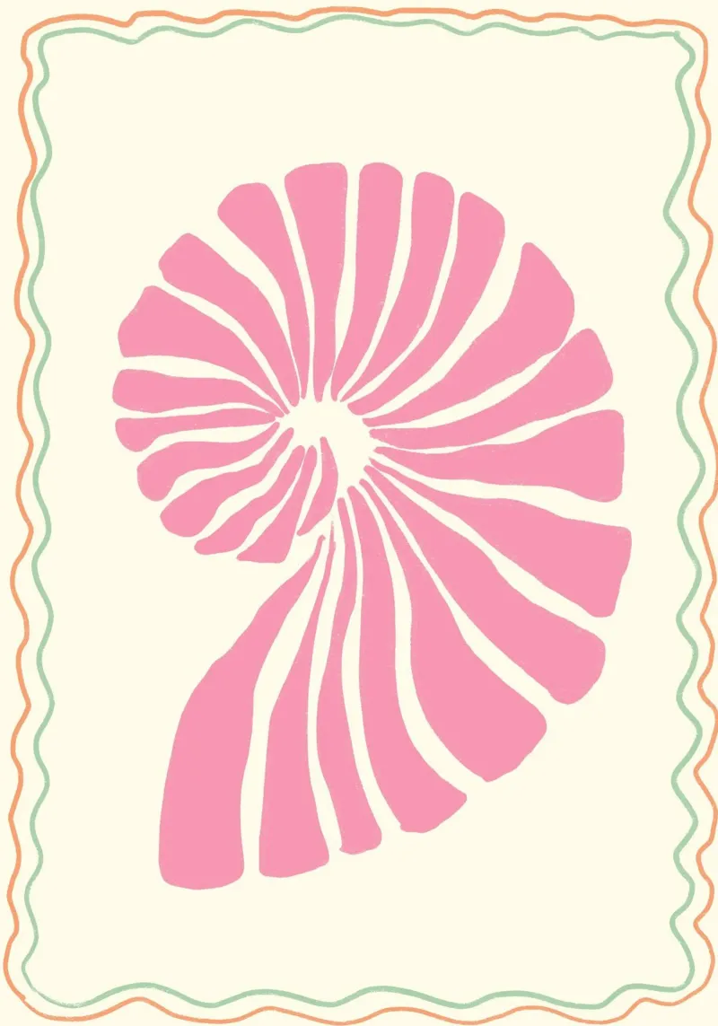 Roze zeeschelp, Nautilus, Minimalistische kunstdruk canvas met Baklijst van dawnthesea