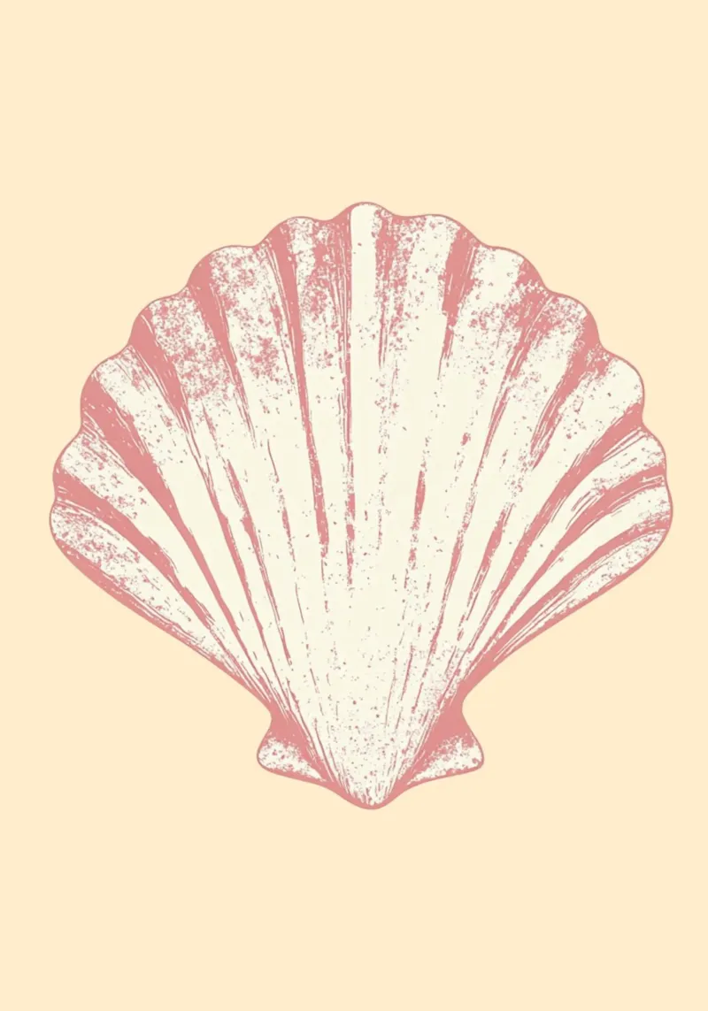 Pink Seashell, Minimalist Coastal Art, Retro Print canvas with Floater frame by dawnthesea