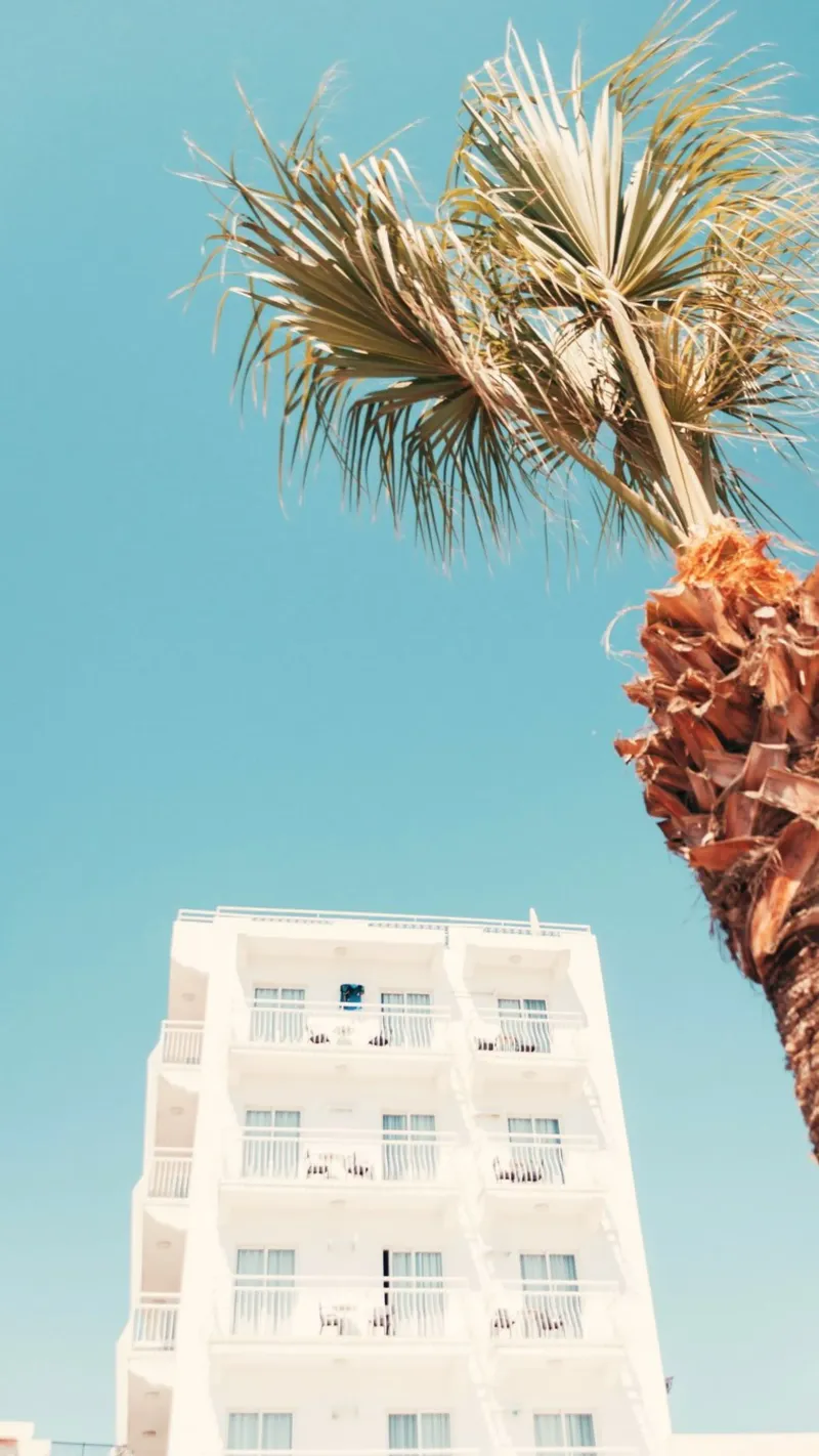 building with palm canvas with Floater frame by mip of map