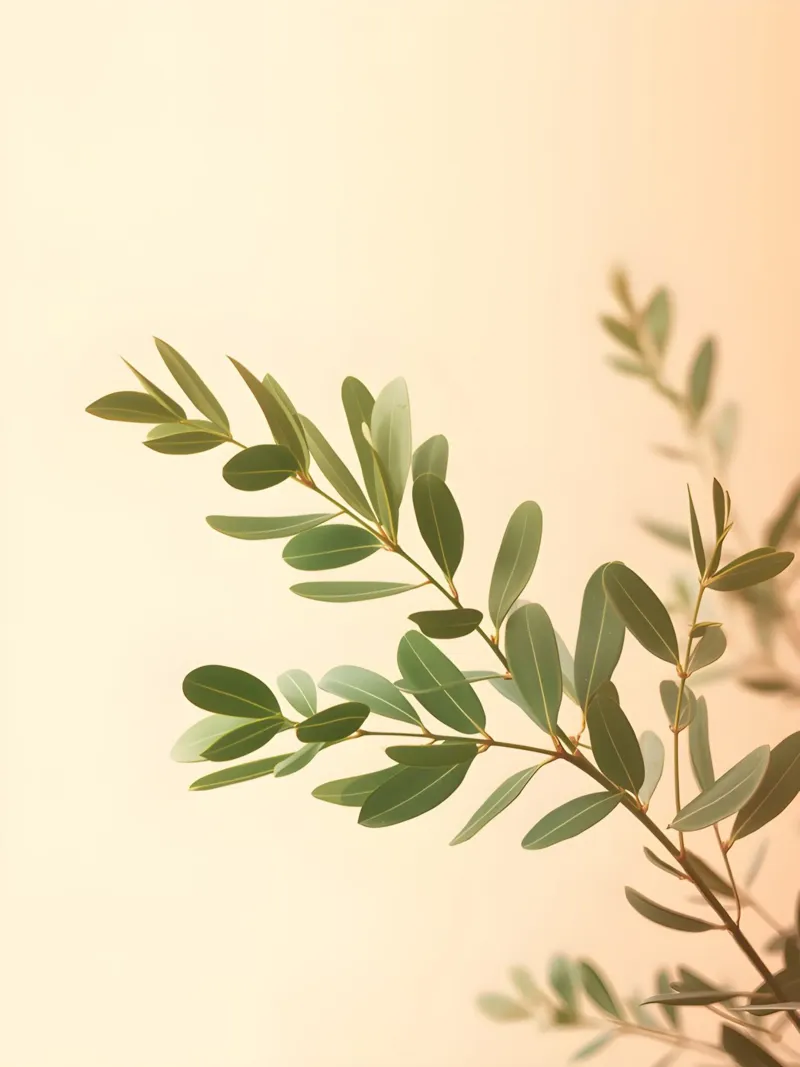Gradiente botanico poster con telaio in legno da The Green Room