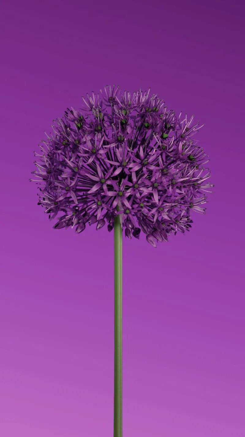 hart blossom poster con telaio in plastica da lily