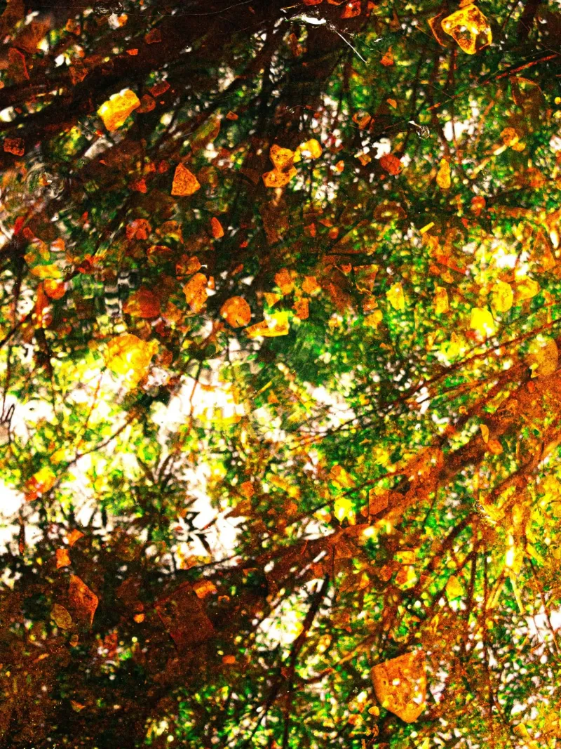 gradient afternoon poster da kichin