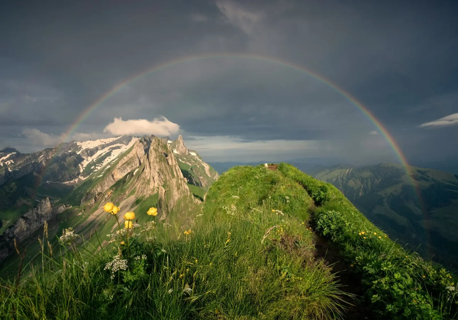 rainbow and the nature poster con telaio in plastica da carsa