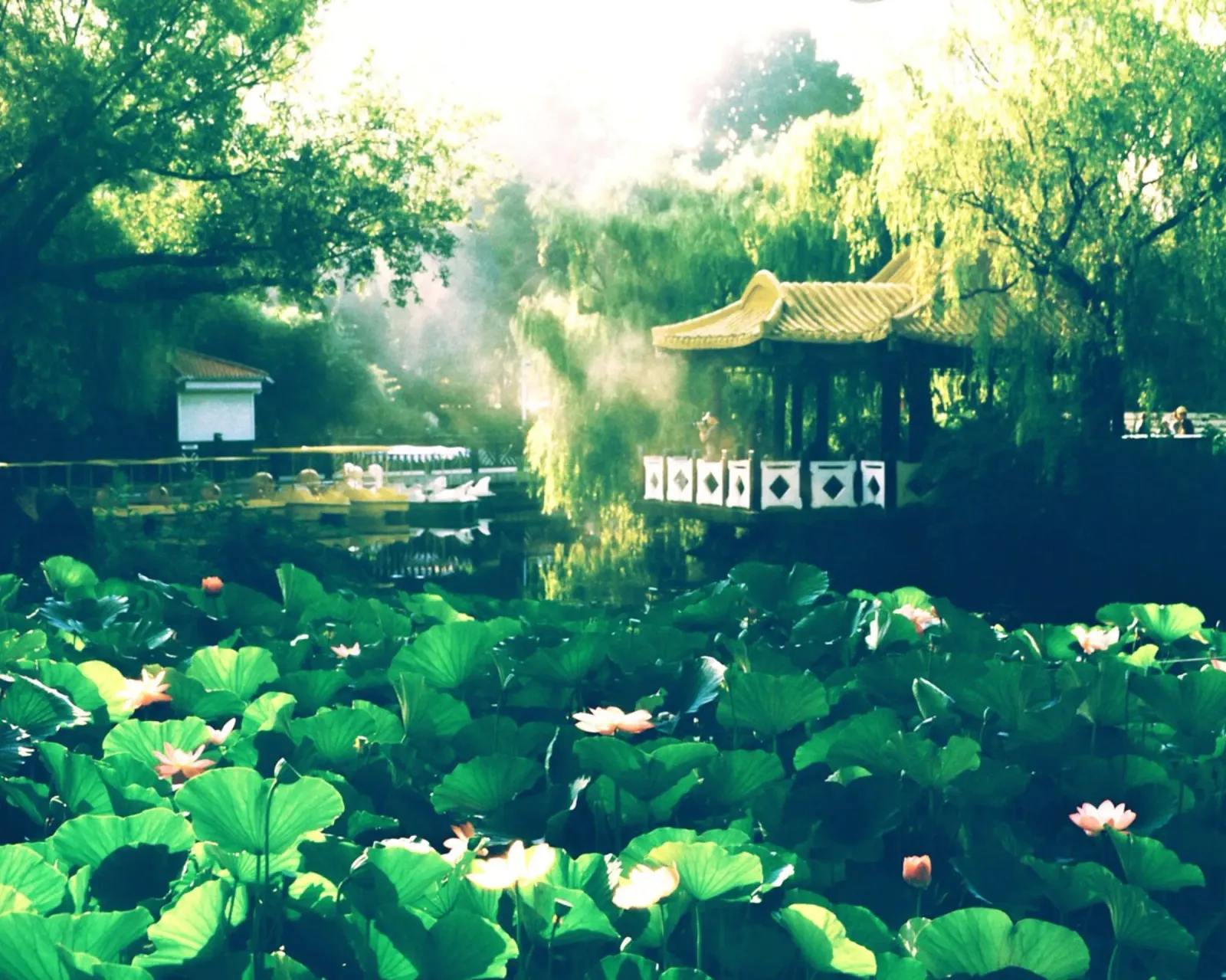 temple and lake poster da melts