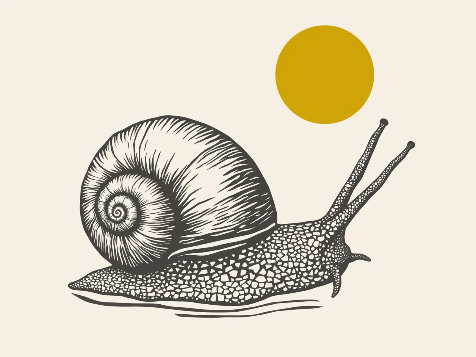 Snail poster con telaio in legno da Indigo Rain