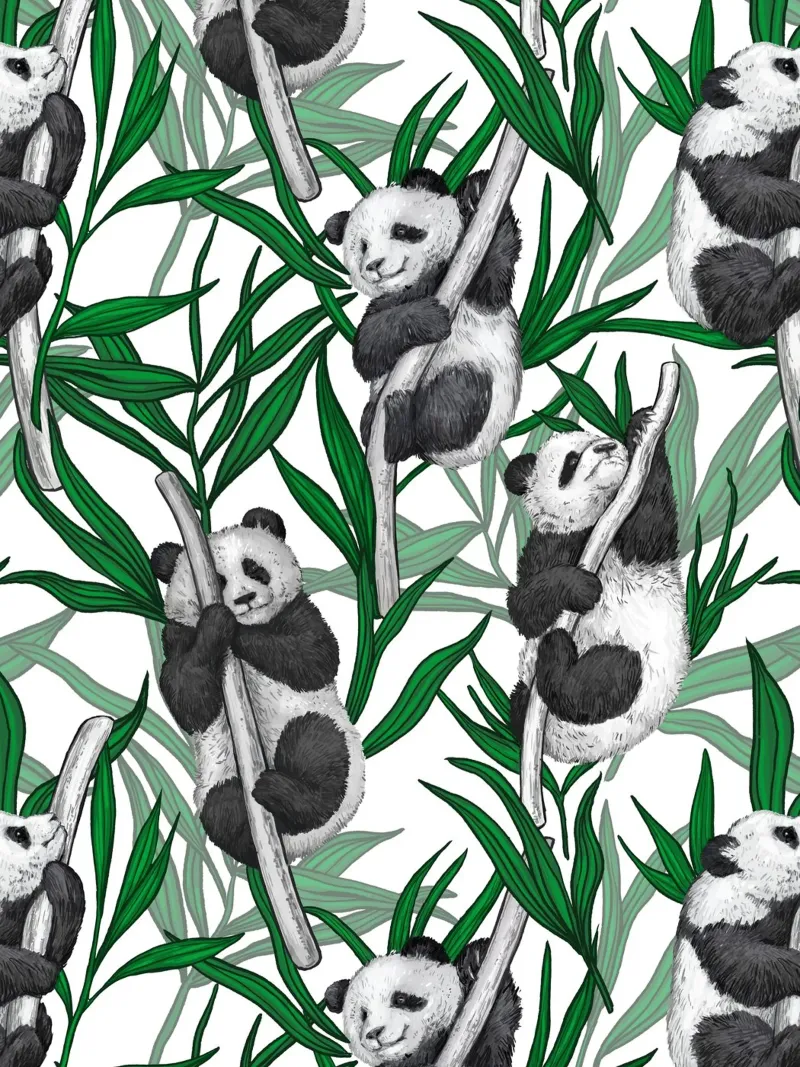 Cuccioli di panda sul bianco tela con Cornice a cassetta da Painted Nature