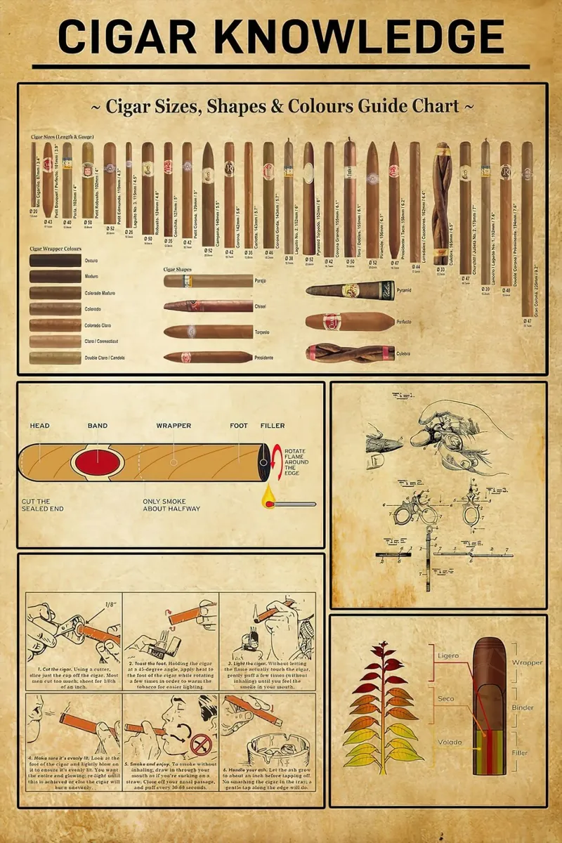 Conoscenza del sigaro poster con telaio in alluminio da coley