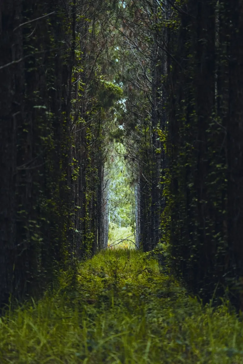 roadway made by grass poster con telaio in plastica da mip of map