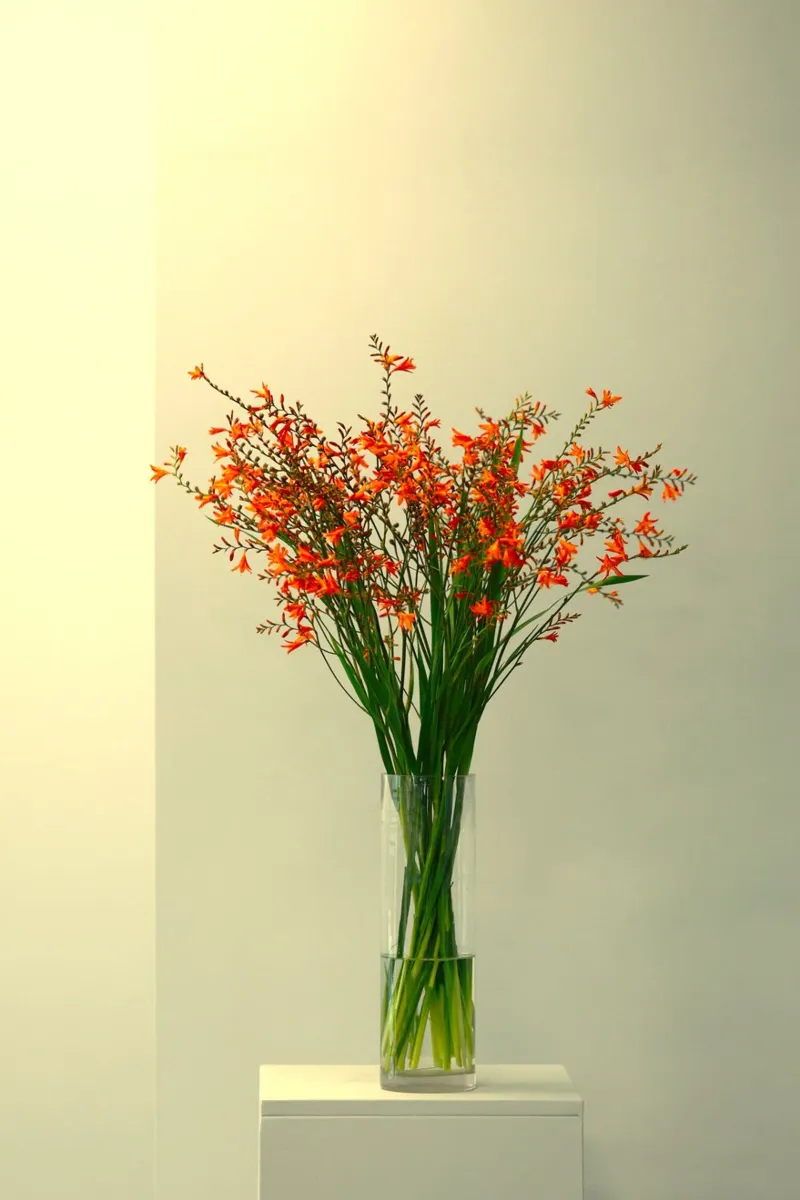 single vase in light tela con Cornice a cassetta da mip of map