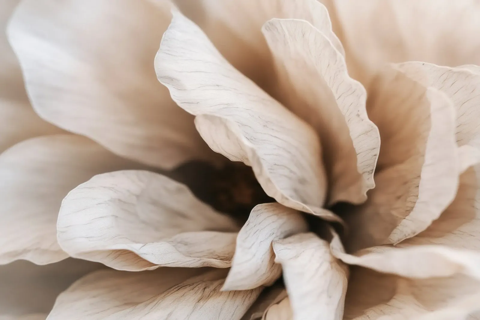 Fragile Bloom No 01 poster da treechild