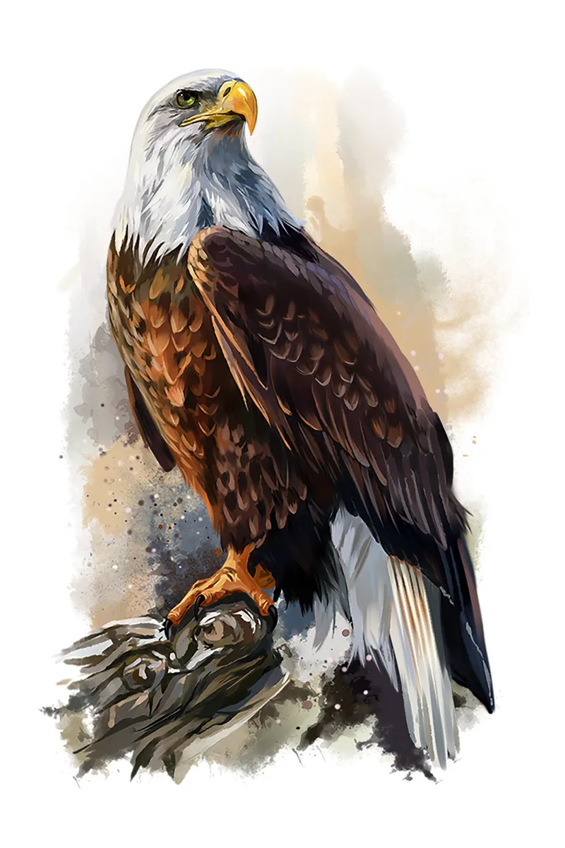 Strong Eagle poster con telaio in alluminio da jatikulon