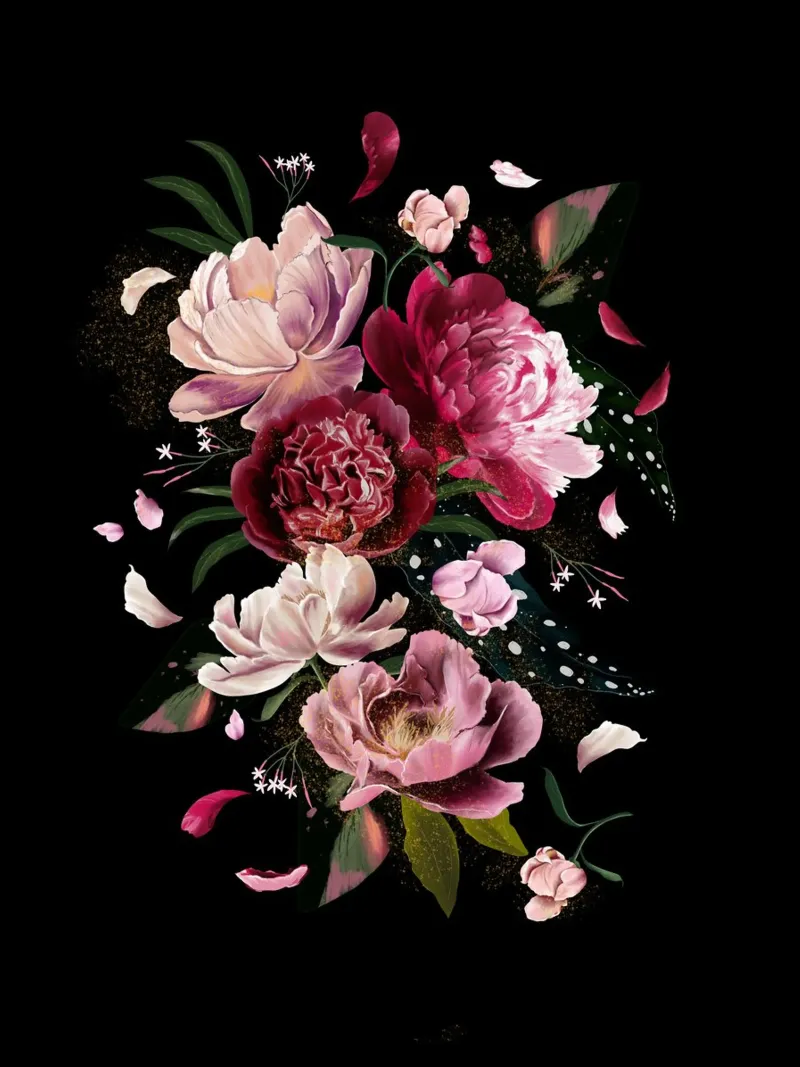 Whimsical Pink Peonies Explotion in Black tela con Cornice a cassetta da anisillustration