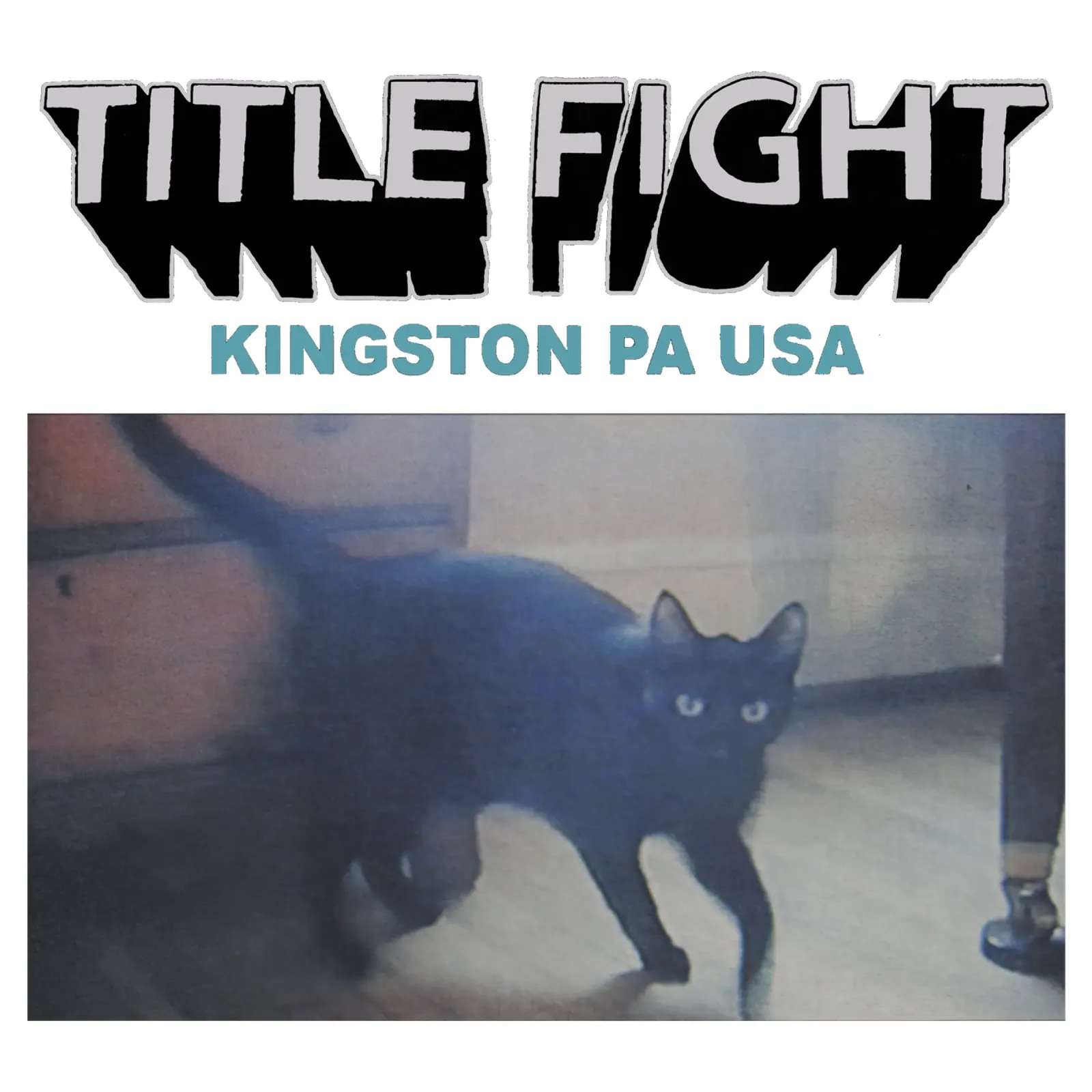 Il gatto nero poster da Dardenden