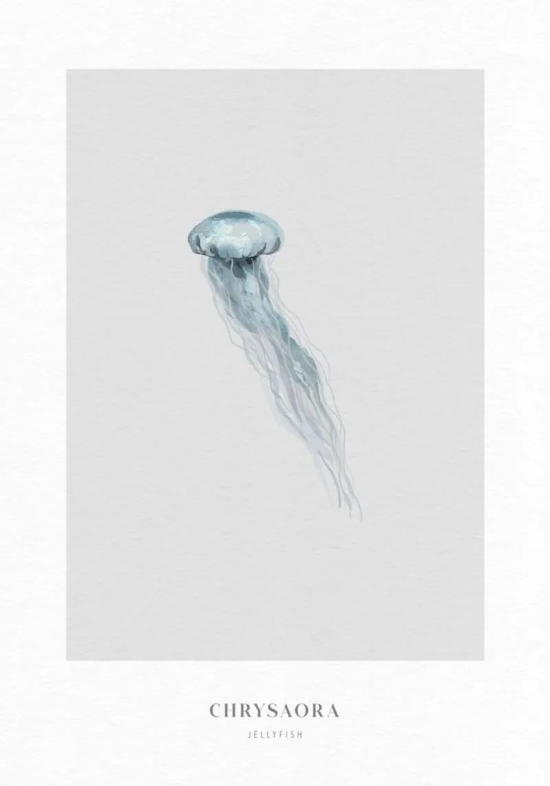 Boho Ocean 2 Jellyfish pellicola backlit da Boho Print Collection