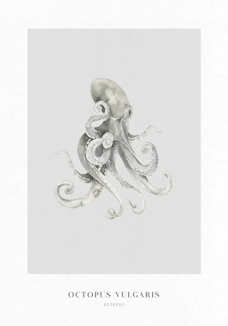 Boho Ocean 2 Octopus carta hahnemühle da Boho Print Collection